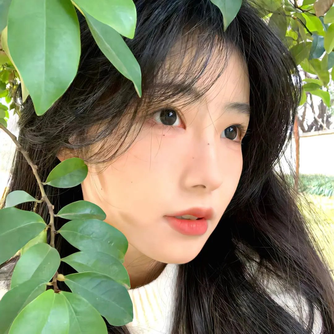 圣诞好家在