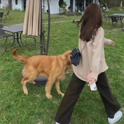 霹雳侠影之轰动武林